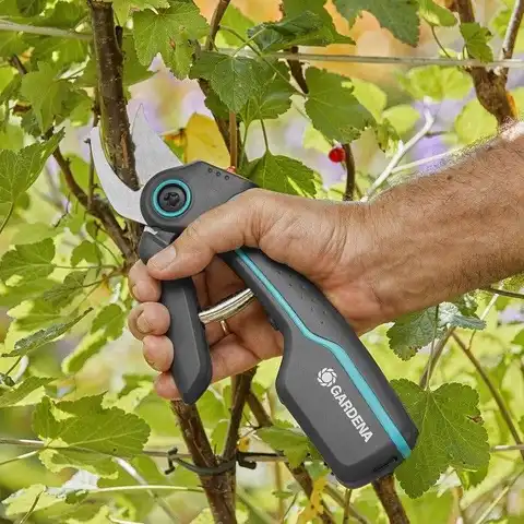Акумуляторний секатор Gardena AssistCut Bypass до 25 мм USB-C (12222-20) — Photo 10