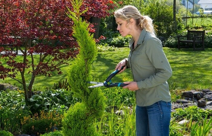 Ножиці для живоплоту механічні Gardena PrecisionCut (12302-20.000.00) — Photo 2