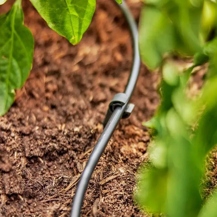 Шланг крапельного поливу Gardena Micro-Drip-System для рядного поливу 50 м, 1.6 л/рік (13504-20) — Photo 2